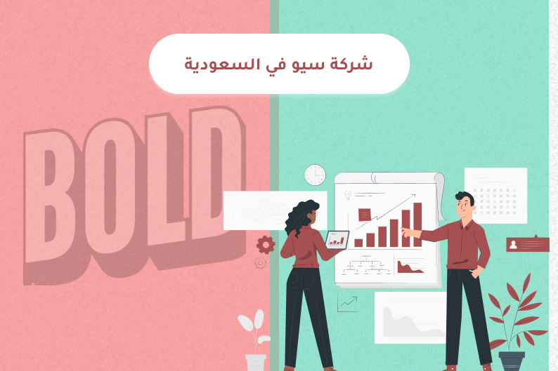 شركة سيو في السعودية من The Bold Era لتصدر نتائج البحث وتحقيق نمو رقمي